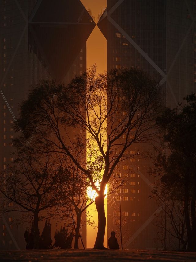 魔都落日秘境滴水湖懸日最佳打卡機位大公開! 魔都落日秘境滴水湖懸日最佳打卡機位大公開!