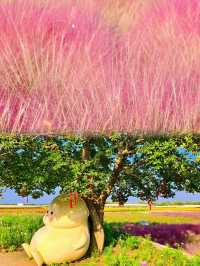 宿遷三臺山絕美仙境98%森林覆蓋超治癒！