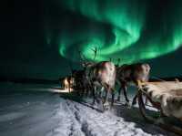 Heilongjiang’s Aurora: China’s Arctic Light Show That’s Viral Worldwide!