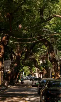 廈門拍照|在陽光鋪滿的信義路看發光的秋天