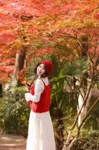 12·1南京棲霞山紅楓進入觀賞期～附路線～