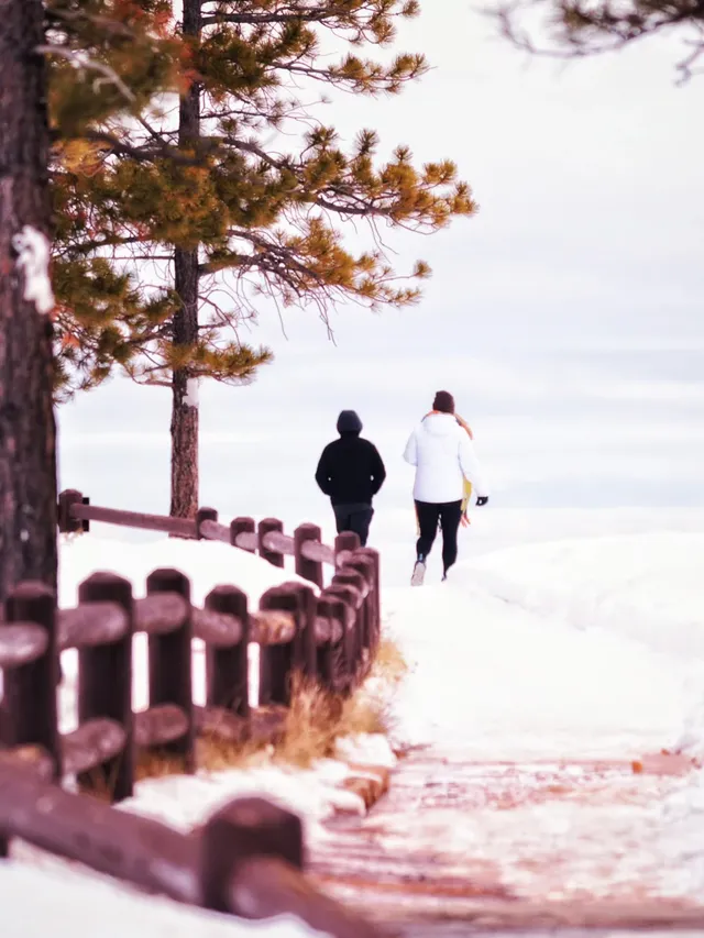 終於知道12月玩美西環線該怎麼穿！親測不冷