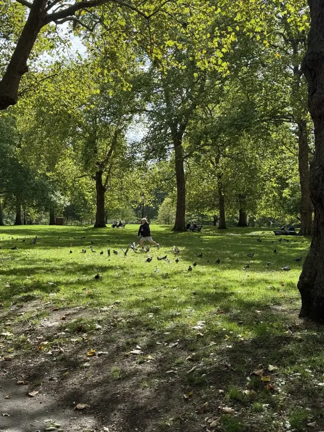 London One-Day Tour Quick Guide