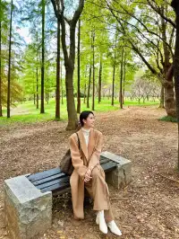 終於等到了12月的南京