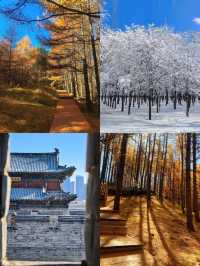 誰懂啊十二月份的大同實在是太美了