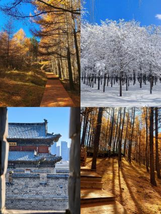 誰懂啊十二月份的大同實在是太美了