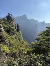 黃山(二) | 松與石