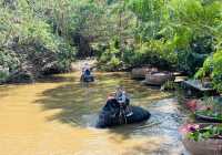 來曼谷看大象，我推薦去這裡！附購票省技巧