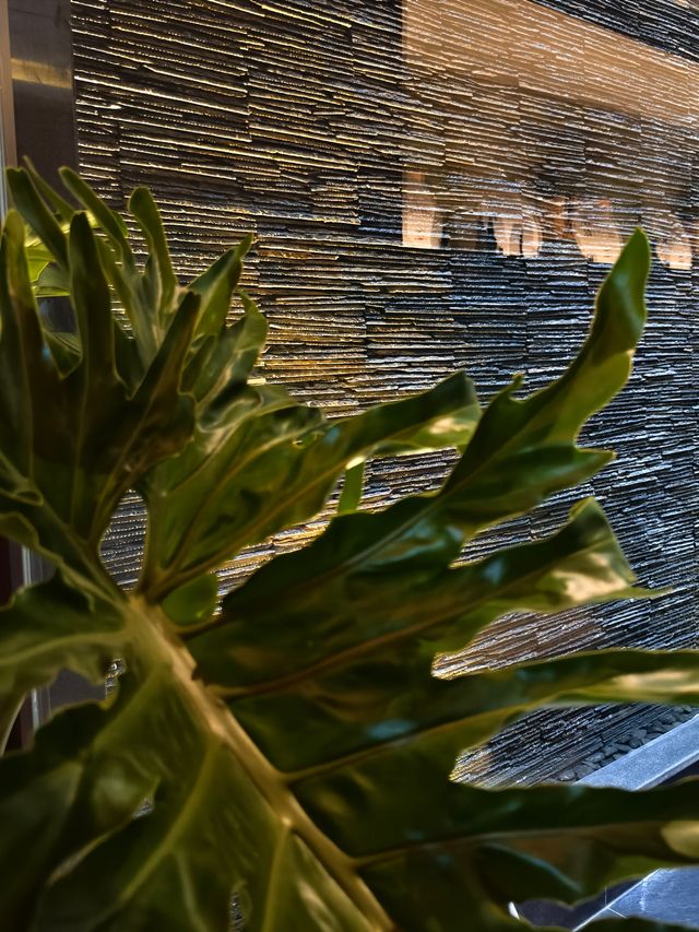 滇茶里酒店:麗江住宿,不止古城雪山,更是茶意棲居 來麗江,多數人追雪山、逛古城,卻少有人懂:真正 滇茶里酒店:麗江住宿,不止古城雪山,更是茶意棲居 來麗江,多數人追雪山、逛古城,卻少有人懂:真正