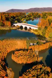 快!尚湖全紅了!現在!立刻!馬上!出發!