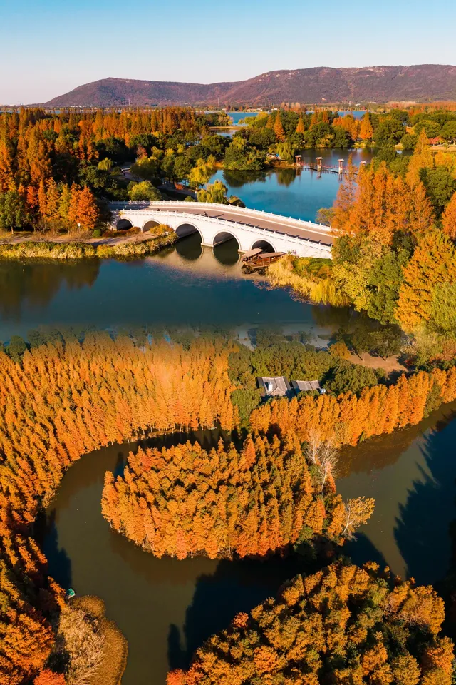 快!尚湖全紅了!現在!立刻!馬上!出發! 快!尚湖全紅了!現在!立刻!馬上!出發!