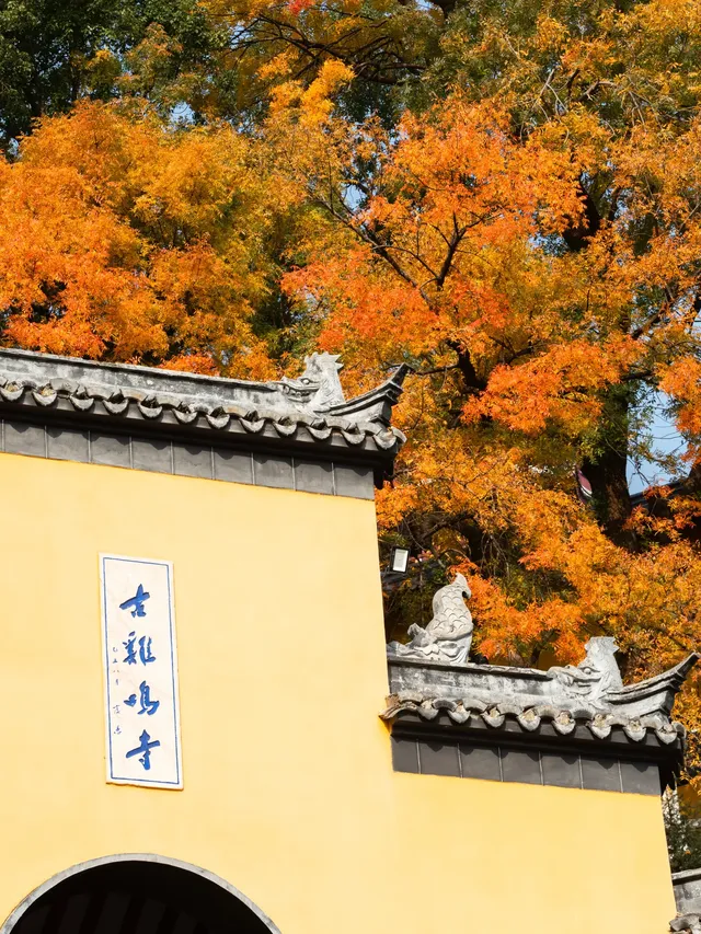 南京2天1晚 丨超詳細賞秋寶藏路線