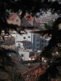 青島|藏在山頂的海底世界