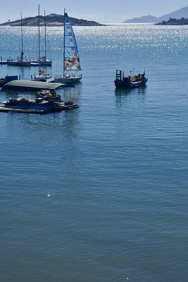 我真希望東山島能再商業化一些……