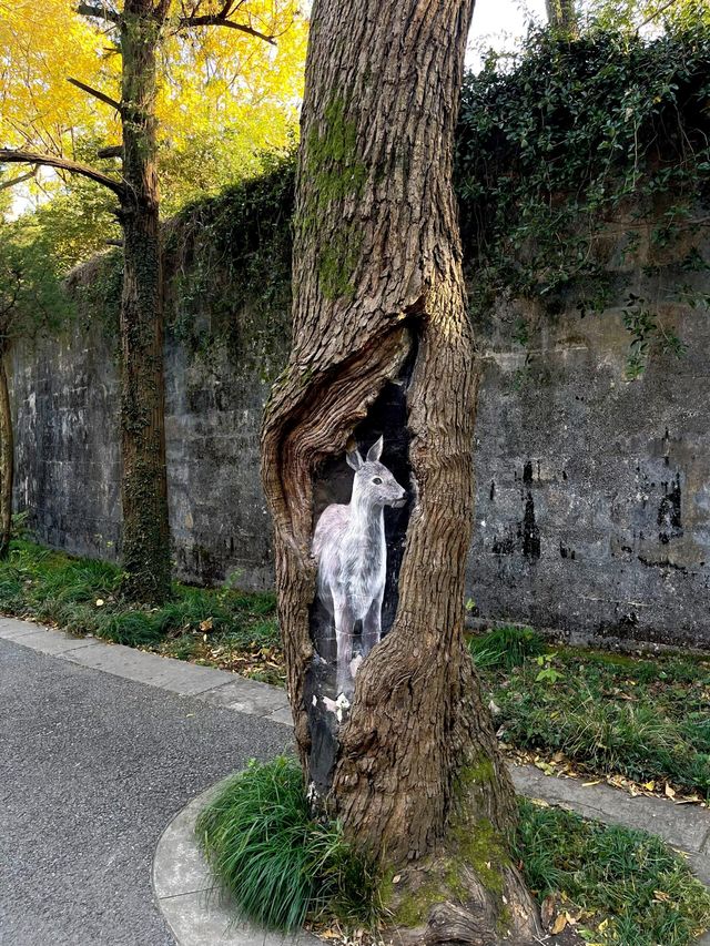 步數登頂的快樂誰懂!南京暴走一天滿是治癒感 步數登頂的快樂誰懂!南京暴走一天滿是治癒感