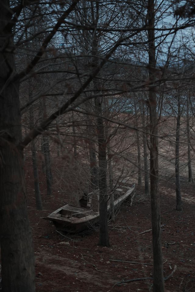 冬日郴州限定攻略|丹霞與仙境湖光交相輝映 冬日郴州限定攻略|丹霞與仙境湖光交相輝映