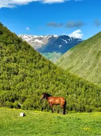 做了8年領隊，這是我私藏最愛的神仙路線！