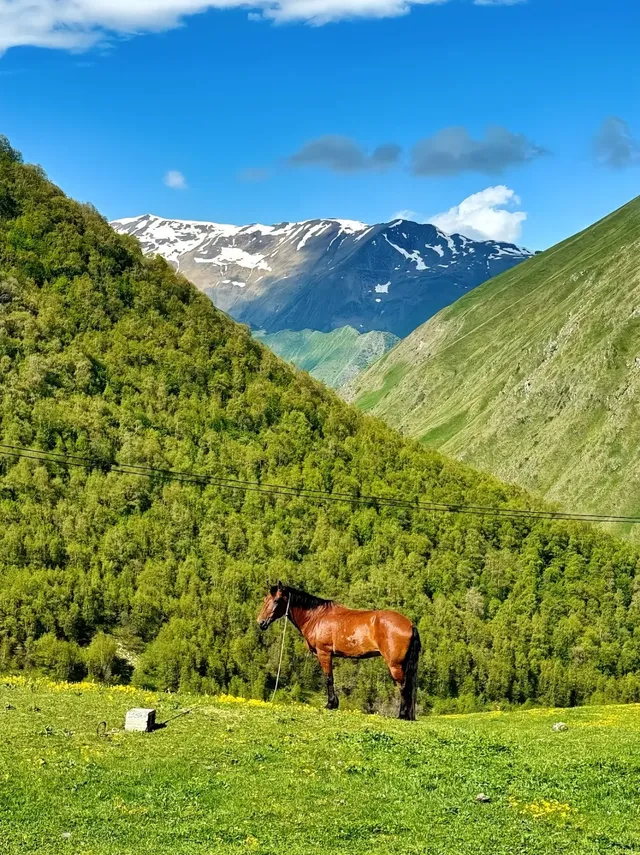 做了8年領隊，這是我私藏最愛的神仙路線！