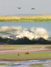 魔都浪漫的秋日遊玩攻略,教你解鎖上海的浪漫玩法~ 【交通指南】 地鐵1號線、10號線至陝西南路站