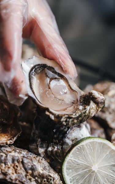 睡進深圳華僑城洲際大酒店西班牙風情,2026 讓狂歡不留遺憾 睡進深圳華僑城洲際大酒店西班牙風情,2026 讓狂歡不留遺憾