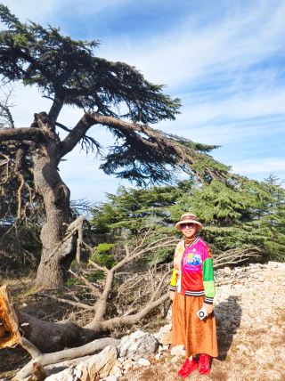 ซีรีส์ท่องเที่ยวรอบโลก: เลบานอน - เขตอนุรักษ์ธรรมชาติซีดาร์และโขดหินพิเจน