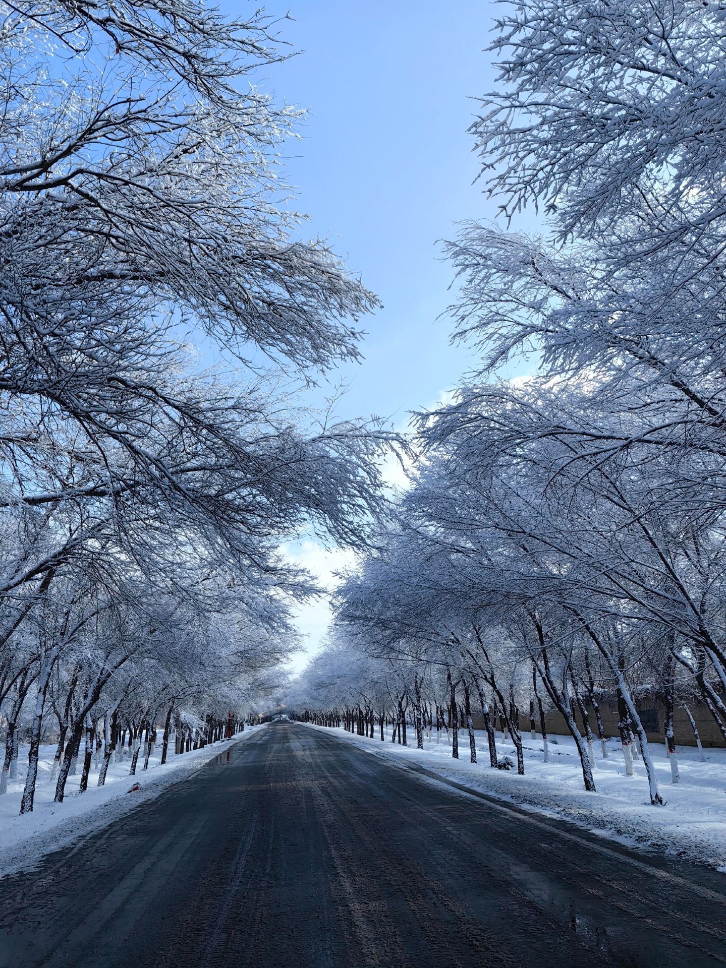 Những viên ngọc ẩn giấu quanh Urumqi! Trải nghiệm 2 ngày 1 đêm khám phá những vùng đất ít người biết đến ở Shihezi, với khung cảnh tuyết phủ và những vườn nho.