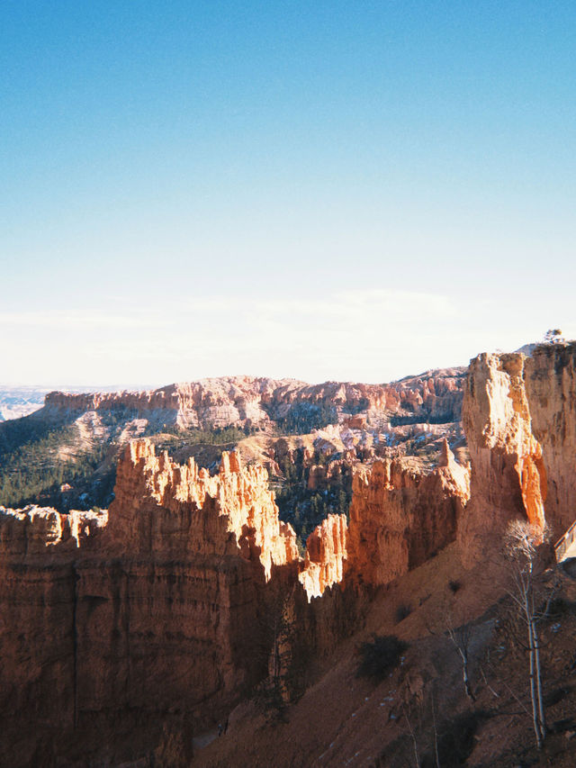 4天玩轉美國精華必看攻略
