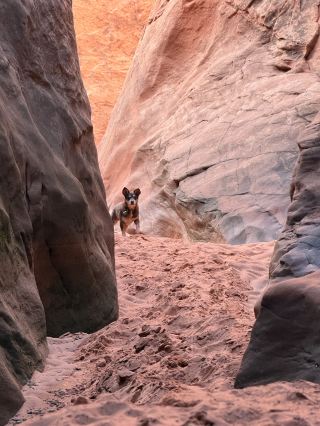トルコ2日間ツアー | コスパ抜群の人気スポット攻略
