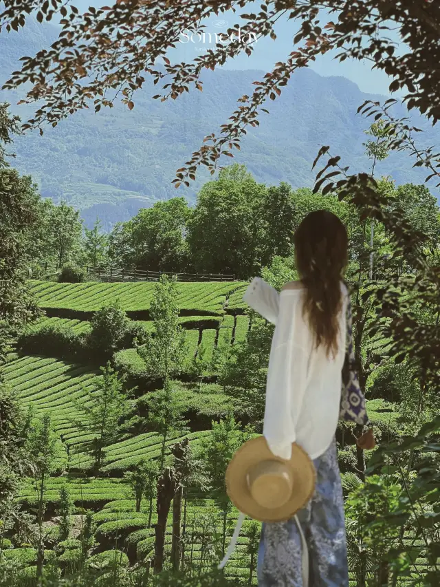 Xi'an Surroundings | Tea Garden Wonderland Weekend Escape from the City