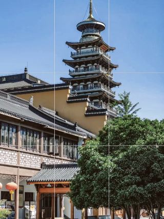 親子夏の旅行記｜渓流・湿地・竹林を遊び尽くす。