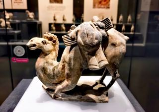 北朝考古展全景攻略