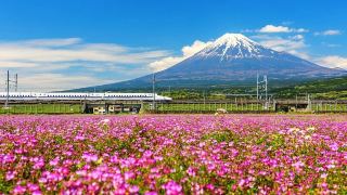 小連休7日間の日本旅行、この攻略は最高！