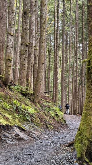 Hiking Around Seattle - North Cascades