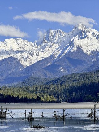 6-day summer vacation | Nyingchi-Qamdo travel guide is amazing!