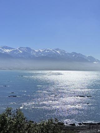 12日間南アフリカ旅行ベビーシッター級攻略、見たらすぐ丸写しOK！