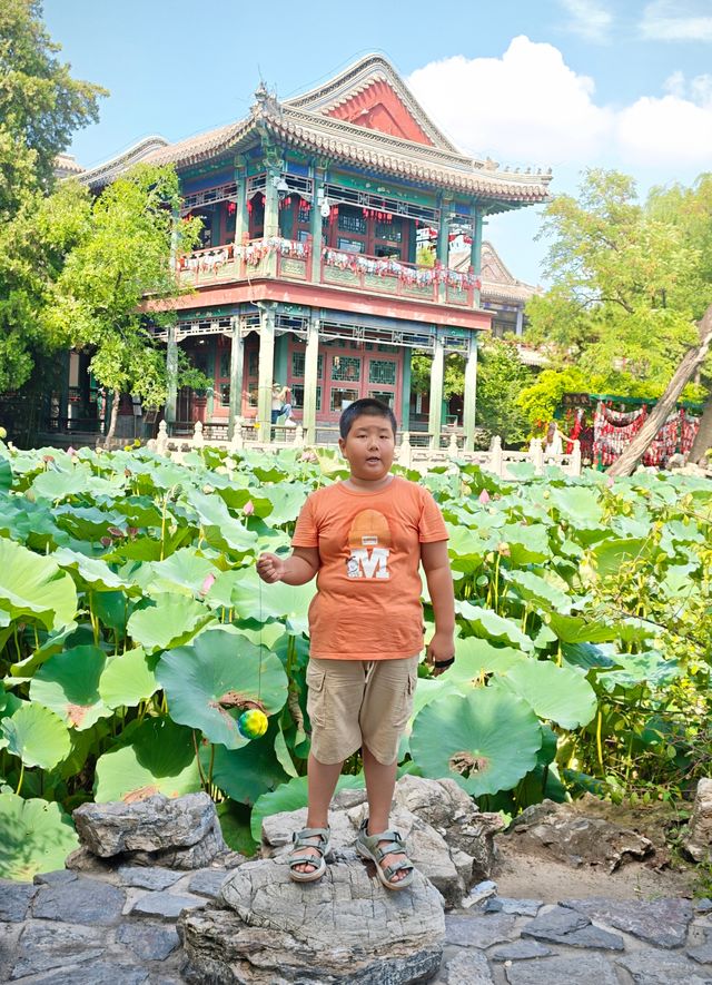 保定美景“蓮漪夏艷”:古蓮花池