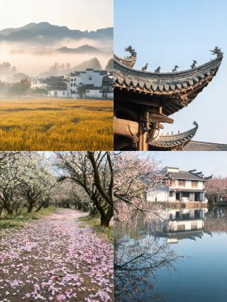A must-read before visiting Dongshan Wenmei Village, a guide to avoid pitfalls—save it