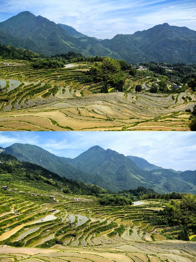 :被國家地理評為「中國最美梯田」!雲和梯田保姆級攻略|Trip.com 雲和