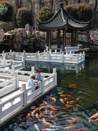 千島湖初秋躺平攻略：0.5 倍速慢遊，不踩雷