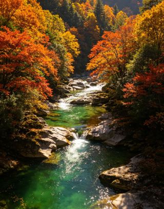 酔いしれる黄金の秋、秦嶺・巴山の紅葉絵巻を巡る8日間の旅
