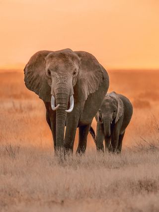 24-day Namibia multi-country itinerary with money-saving tips