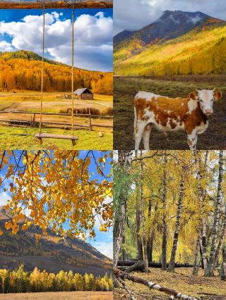 If you're visiting Altay for the first time, take my advice: don't join a tour group. To be honest,