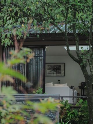 秋日山居｜山裡何想山外事