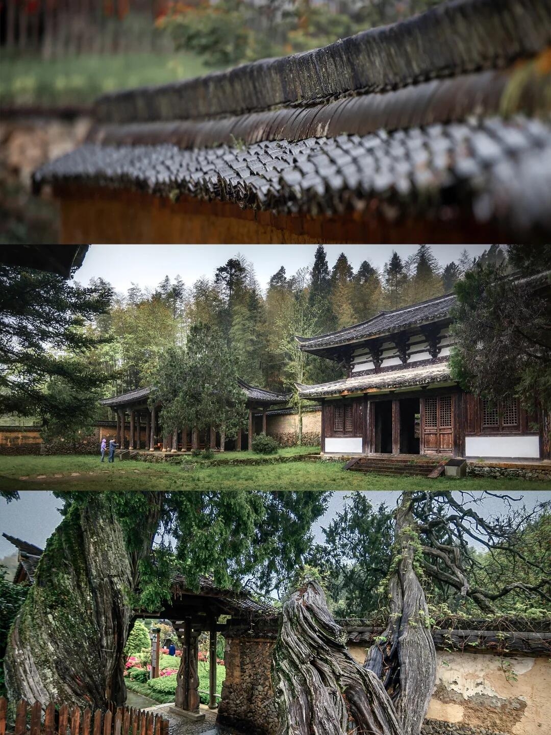 The ultimate guide to Yunzhong Daji, a thousand-year-old temple hidden in the mountains! Beautiful, uncrowded, and a must-save!