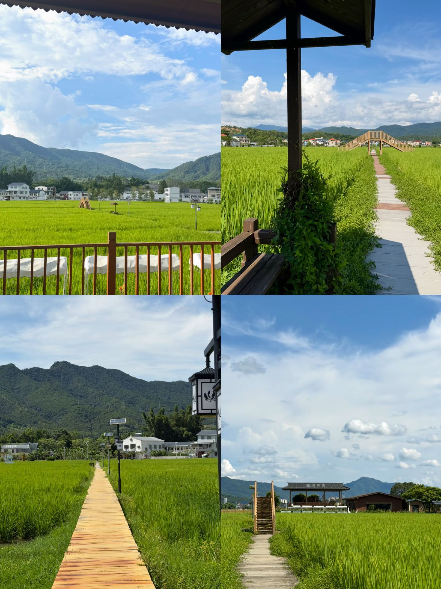 Stop just rushing to Meizhou Ancient City; Jiaoling is Guangdong's underrated "Longevity Town + photogenic gem."