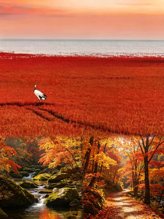 Autumn in Northeast China: 6 must-visit spots, or you'll have to wait another year