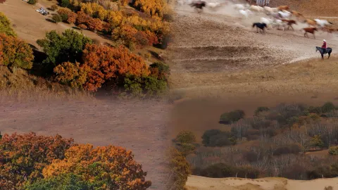 The beauty of Ulan Butong that even strong winds can't stop — traveler post in Bortala