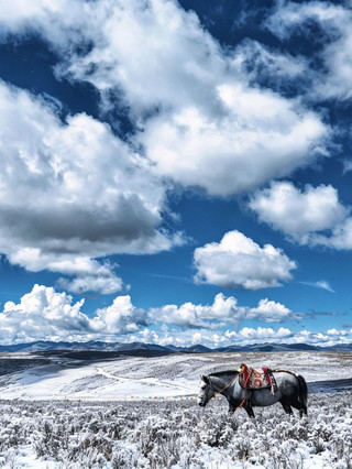 Autumn is the perfect time to visit the hidden gems of the Aba Tibetan and Qiang Autonomous Prefecture.