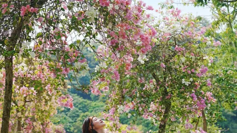 Does Qingxiu Mountain ever slow down? It's added even more new attractions — traveler post in Nanning