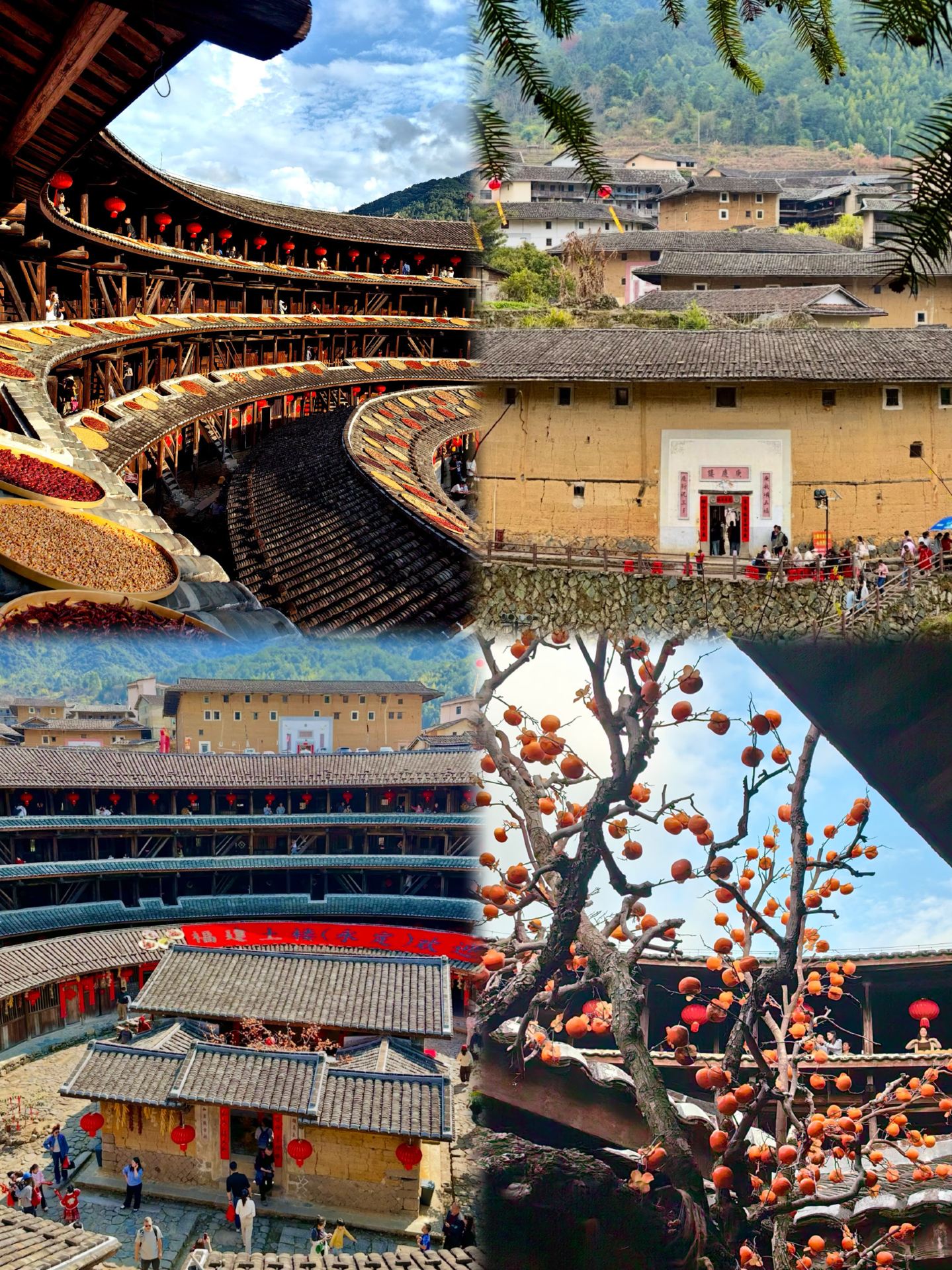 Just back from Longyan, and I really don't recommend visiting in October–November because it's just too...